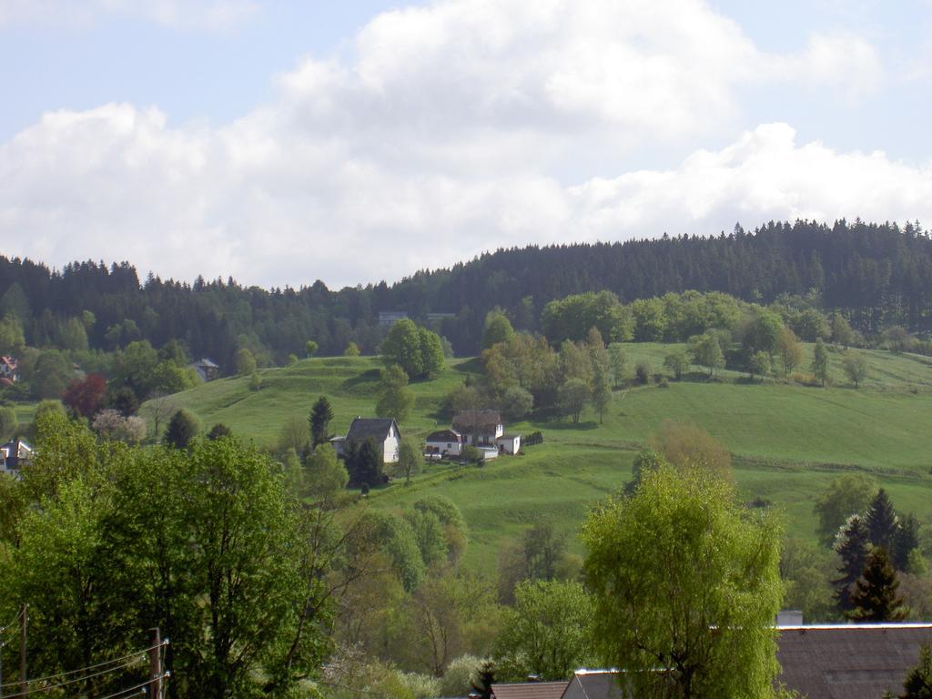 Gasthof 'Zum Reifberg' Ilmenau Habitación foto